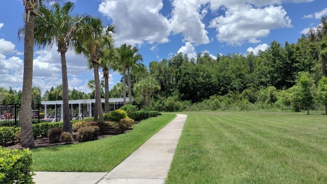 33034 Sand Creek Dr, Wesley Chapel, FL 33543 - view of community