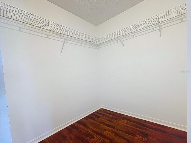 810 Island Walk Dr Unit 810, Tampa, FL 33602 - spacious closet with dark wood-type flooring