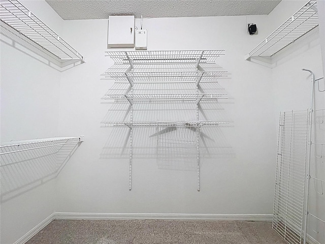 810 Island Walk Dr Unit 810, Tampa, FL 33602 - spacious closet featuring carpet floors