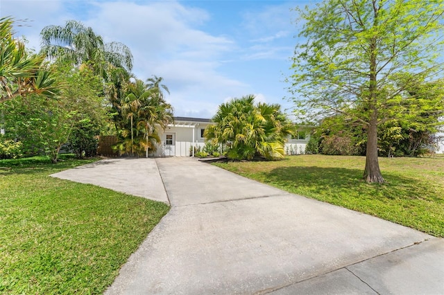 807 W Braddock St, Tampa, FL 33603 - view of front of home featuring concrete driveway and a front yard