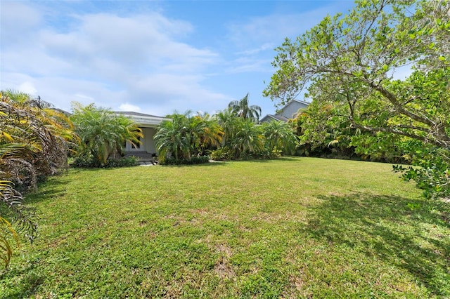 807 W Braddock St, Tampa, FL 33603 - view of yard