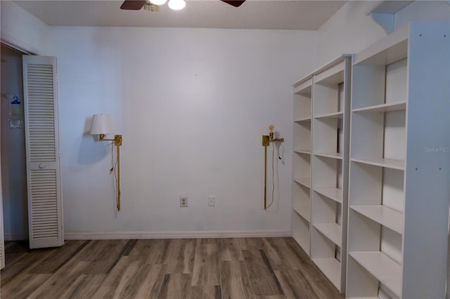 storage area featuring a ceiling fan