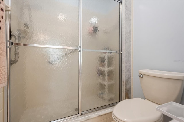 full bathroom featuring a shower stall and toilet