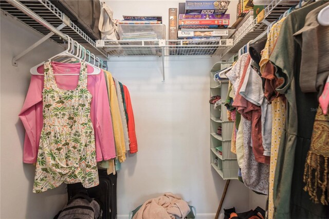 view of walk in closet