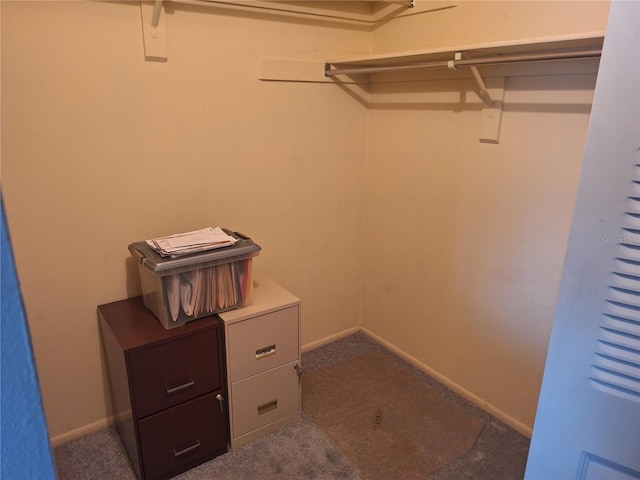 view of walk in closet