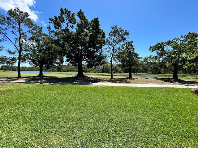 1201 Ventana Dr, Sun City Center, FL 33573 - view of yard