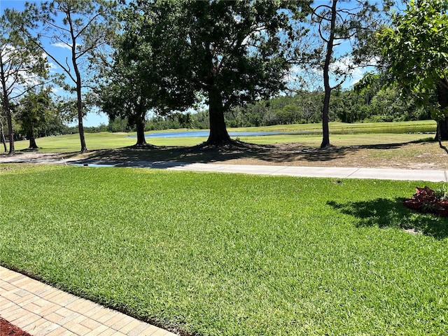 1201 Ventana Dr, Sun City Center, FL 33573 - view of yard