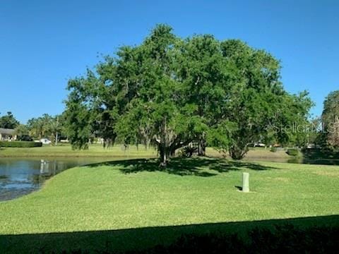 776 Lakewood Dr, Palm Harbor, FL 34684 - view of community featuring a water view and a lawn