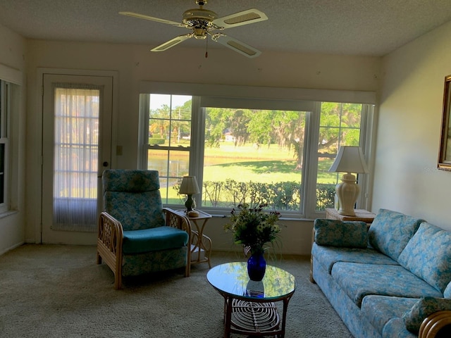 776 Lakewood Dr, Palm Harbor, FL 34684 - sunroom with plenty of natural light