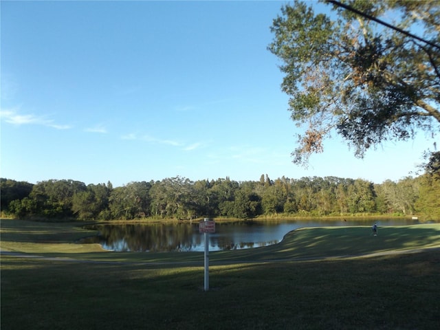 776 Lakewood Dr, Palm Harbor, FL 34684 - view of property's community with a view of trees, a water view, and a lawn