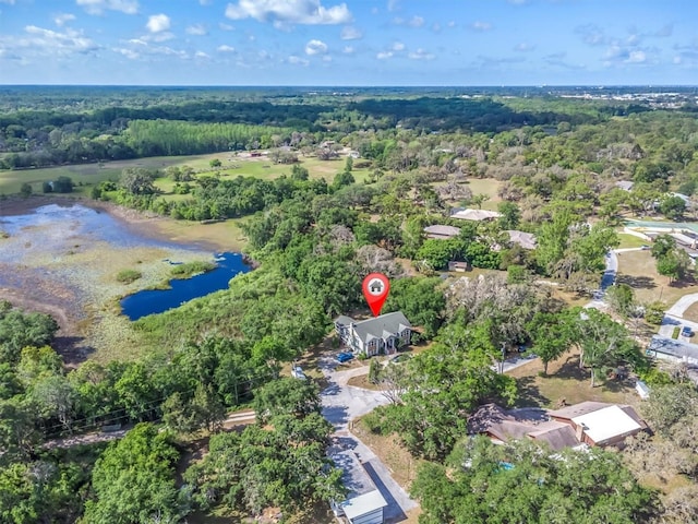 9520 Indale Dr, New Port Richey, FL 34654 - birds eye view of property with a water view and a wooded view