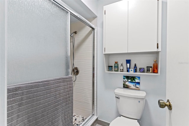 full bathroom featuring a shower stall and toilet