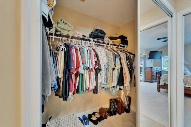 907 Golf Island Dr, Apollo Beach, FL 33572 - spacious closet with carpet floors and vaulted ceiling