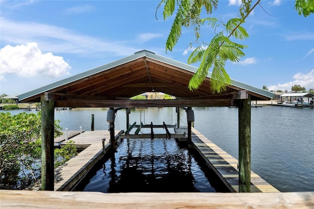 907 Golf Island Dr, Apollo Beach, FL 33572 - dock area with boat lift and a water view