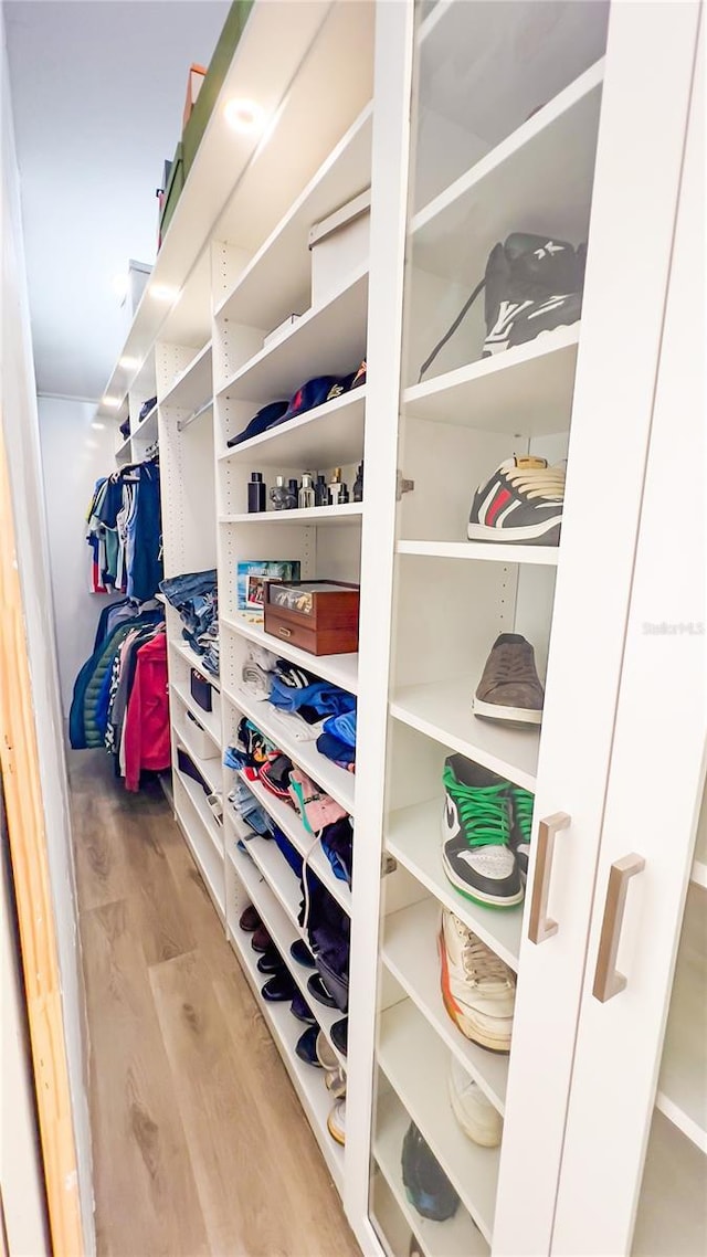 walk in closet featuring wood finished floors