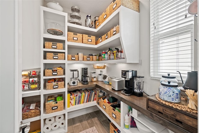 4108 Mellon Dr, Odessa, FL 33556 - view of pantry