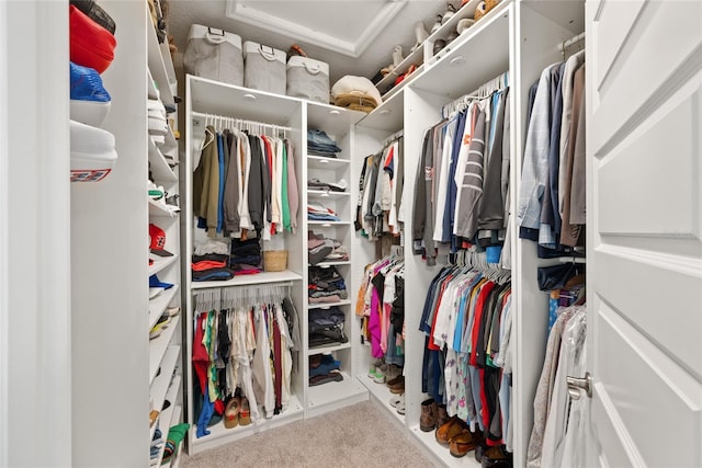 4108 Mellon Dr, Odessa, FL 33556 - walk in closet with carpet flooring and attic access