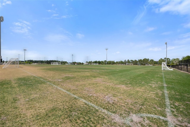 4108 Mellon Dr, Odessa, FL 33556 - view of yard