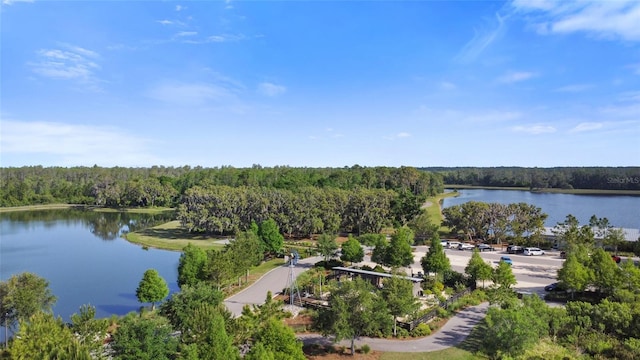4108 Mellon Dr, Odessa, FL 33556 - aerial view featuring a water view and a view of trees