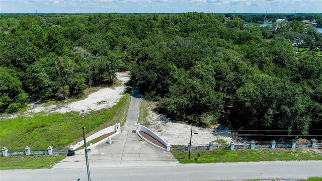 22129 Carson Dr, Land O Lakes, FL 34639 - birds eye view of property with a forest view