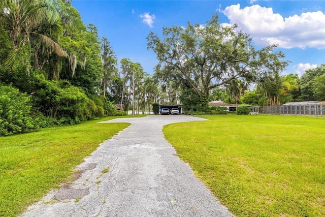 22129 Carson Dr, Land O Lakes, FL 34639 - view of street with driveway