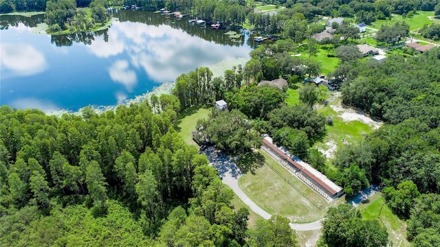 22129 Carson Dr, Land O Lakes, FL 34639 - bird's eye view with a water view