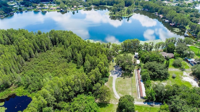 22129 Carson Dr, Land O Lakes, FL 34639 - drone / aerial view with a water view and a wooded view