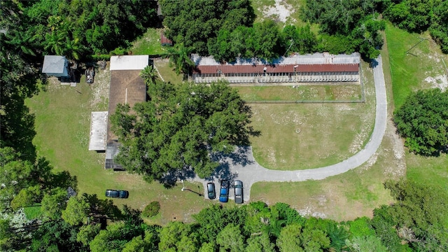 22129 Carson Dr, Land O Lakes, FL 34639 - birds eye view of property