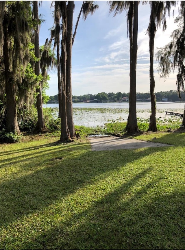 22129 Carson Dr, Land O Lakes, FL 34639 - view of community with a water view and a lawn
