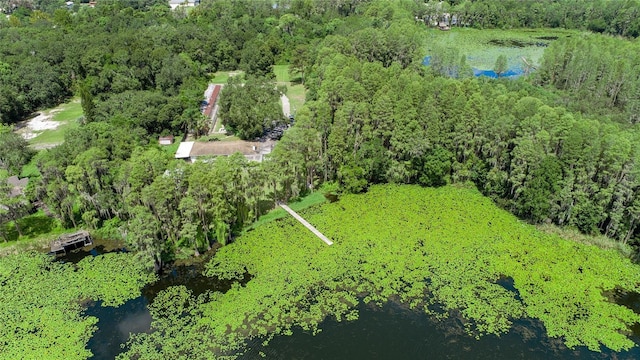 22129 Carson Dr, Land O Lakes, FL 34639 - bird's eye view with a water view and a forest view