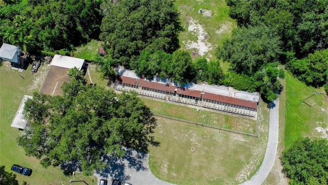 22129 Carson Dr, Land O Lakes, FL 34639 - aerial view