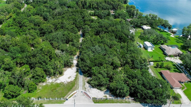 22129 Carson Dr, Land O Lakes, FL 34639 - birds eye view of property with a water view and a wooded view