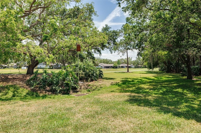 60 Woodridge Cir, Oldsmar, FL 34677 - photo 36