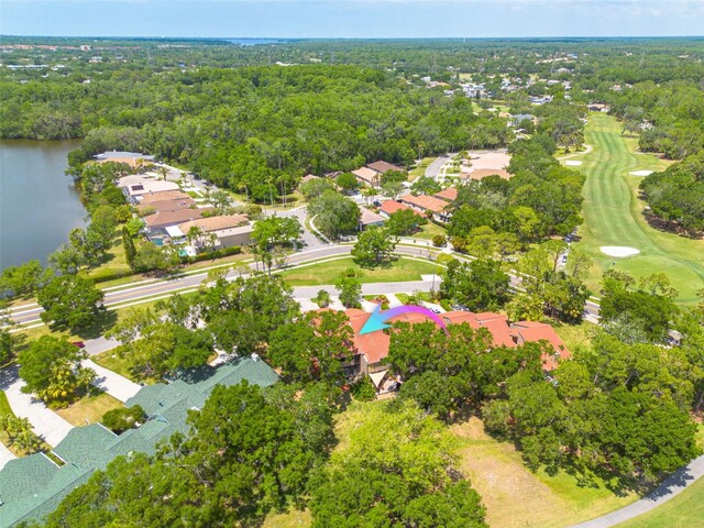 60 Woodridge Cir, Oldsmar, FL 34677 - photo 40