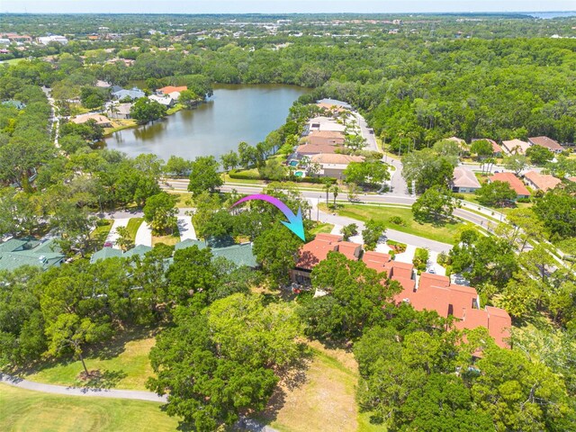 60 Woodridge Cir, Oldsmar, FL 34677 - photo 41