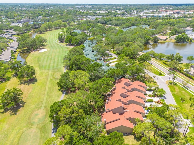 60 Woodridge Cir, Oldsmar, FL 34677 - photo 42