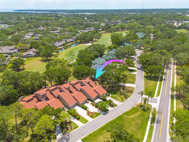 60 Woodridge Cir, Oldsmar, FL 34677 - photo 43