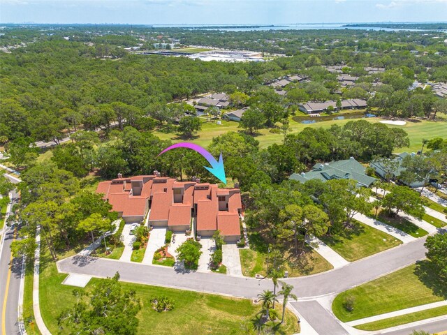 60 Woodridge Cir, Oldsmar, FL 34677 - photo 44