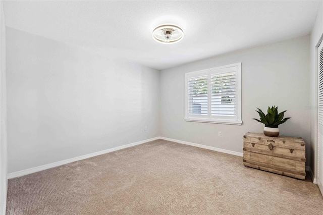 506 Spring Tree Ct, Tarpon Springs, FL 34689 - carpeted empty room with baseboards