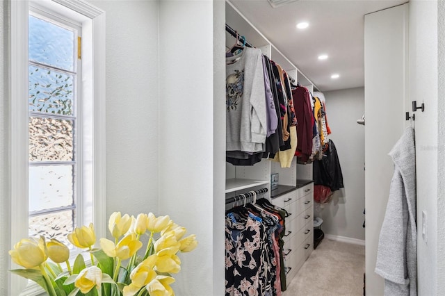 506 Spring Tree Ct, Tarpon Springs, FL 34689 - spacious closet featuring light carpet