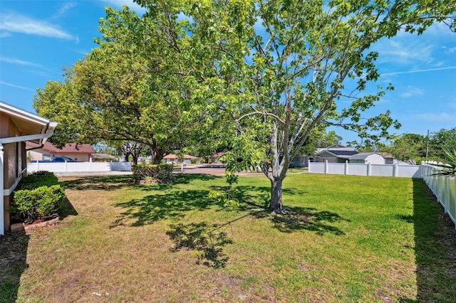 506 Spring Tree Ct, Tarpon Springs, FL 34689 - view of yard