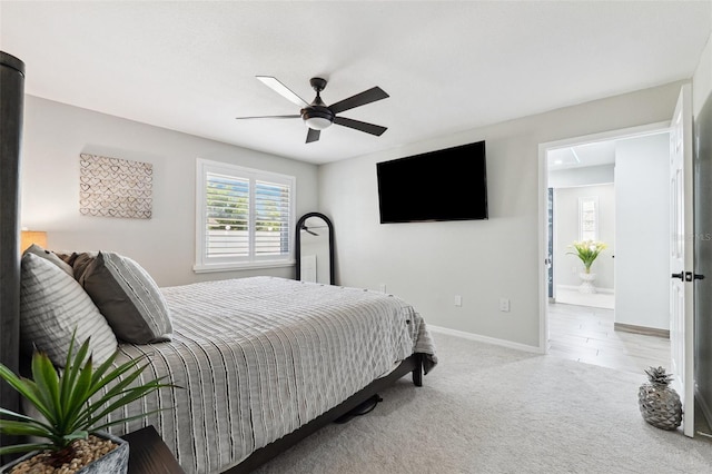 506 Spring Tree Ct, Tarpon Springs, FL 34689 - photo 19