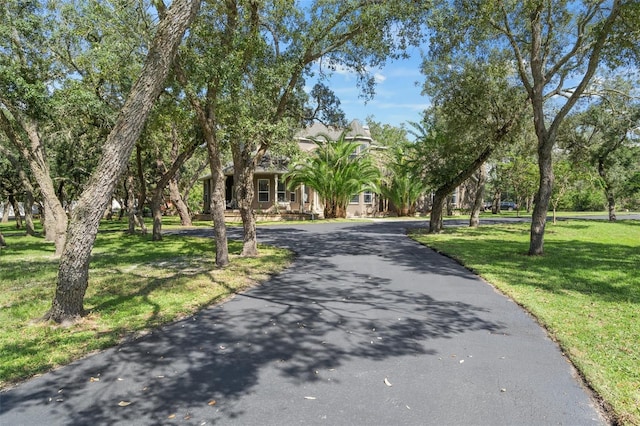 15053 Peace Blvd, Spring Hill, FL 34610 - photo 80