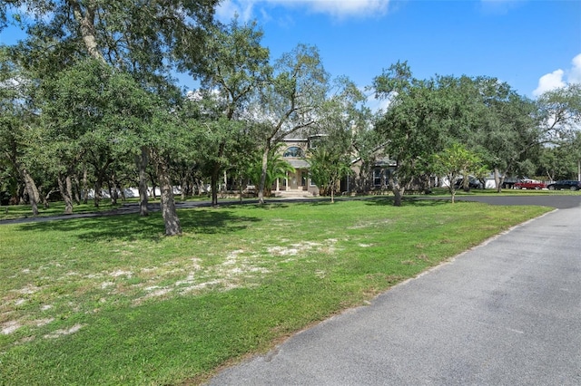 15053 Peace Blvd, Spring Hill, FL 34610 - photo 81