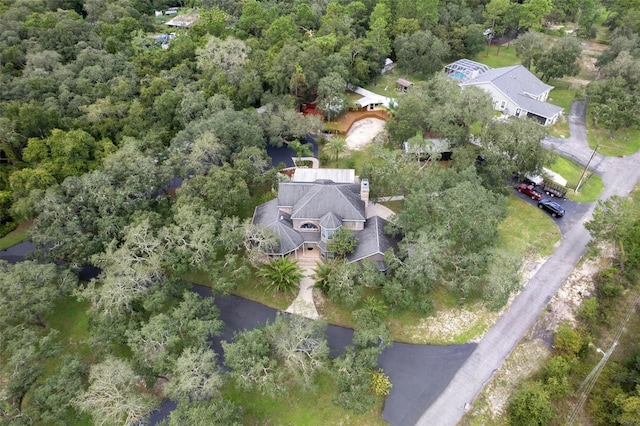 15053 Peace Blvd, Spring Hill, FL 34610 - photo 86