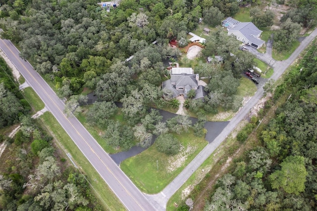 15053 Peace Blvd, Spring Hill, FL 34610 - photo 85