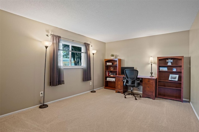 8763 Matthew St, Seminole, FL 33772 - home office featuring a textured ceiling, light colored carpet, and baseboards