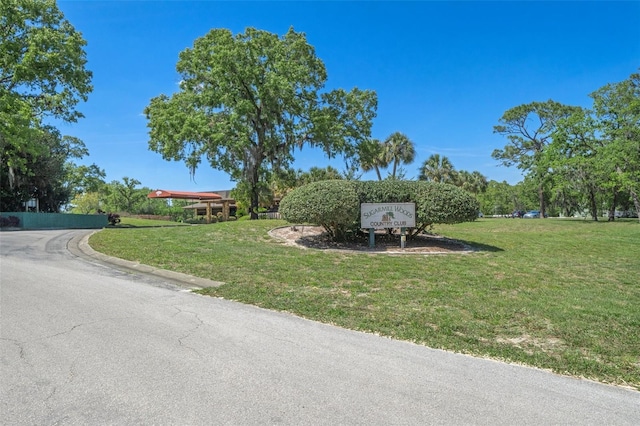 17 Myosotis Ct, Homosassa, FL 34446 - photo 58