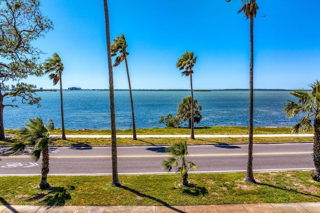 147 Edgewater Dr, Dunedin, FL 34698 - photo 52