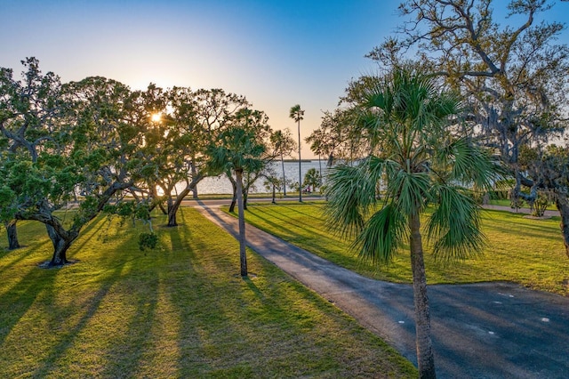 147 Edgewater Dr, Dunedin, FL 34698 - photo 94
